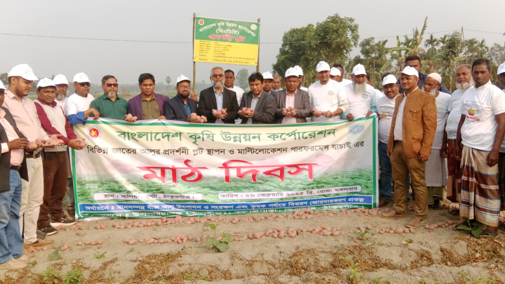 মাঠ থেকে তোলা