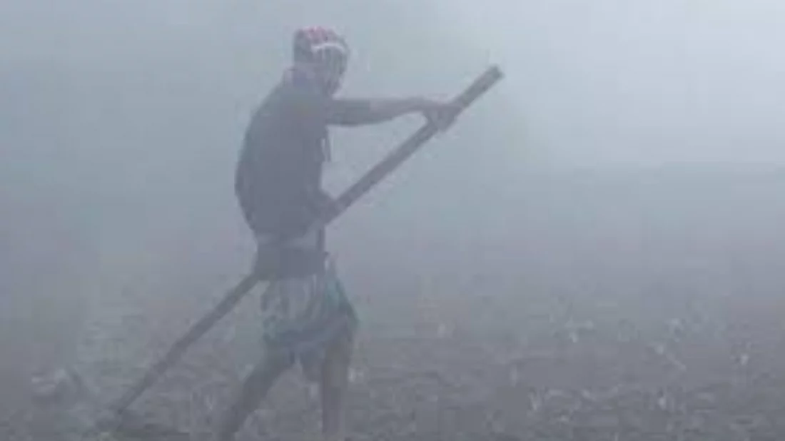 সংগৃহীত