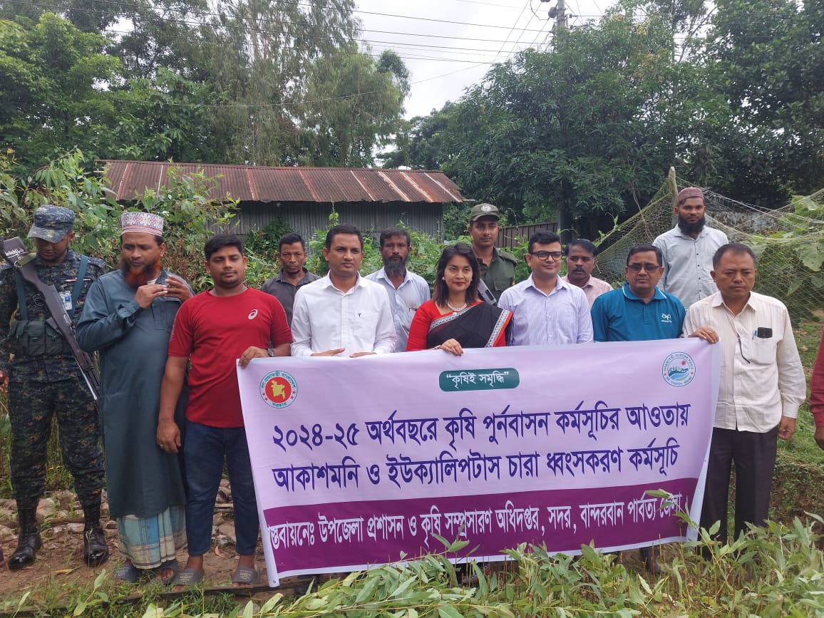 বান্দরবানে ধ্বংস হলো ৭ লাখ ৯২ হাজার ১০০টি ইউক্যালিপটাস ও আকাশমনি চারা গাছ